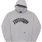 Aemus Ice Gray Hoodie