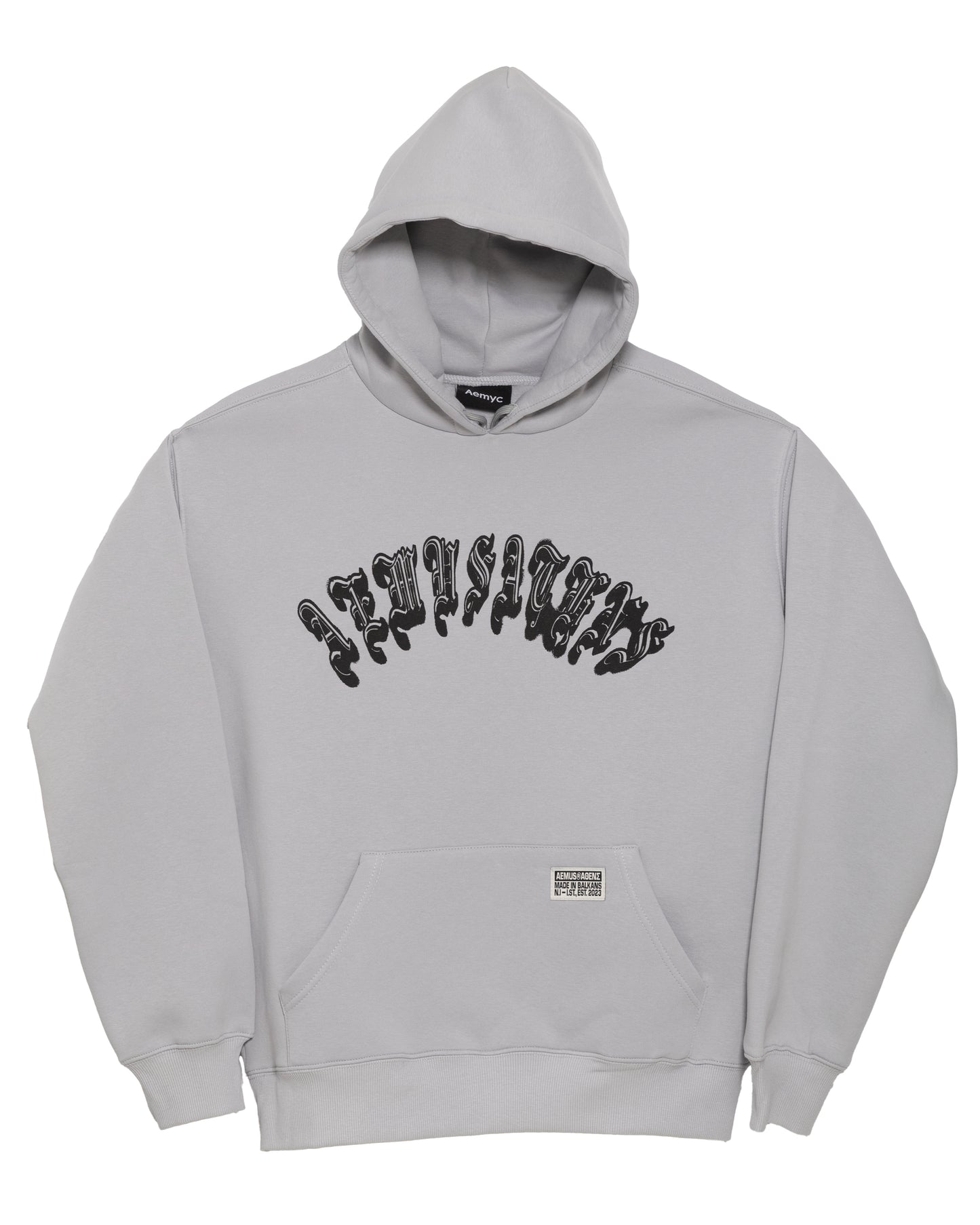 Aemus Ice Gray Hoodie