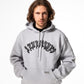 Aemus Ice Gray Hoodie